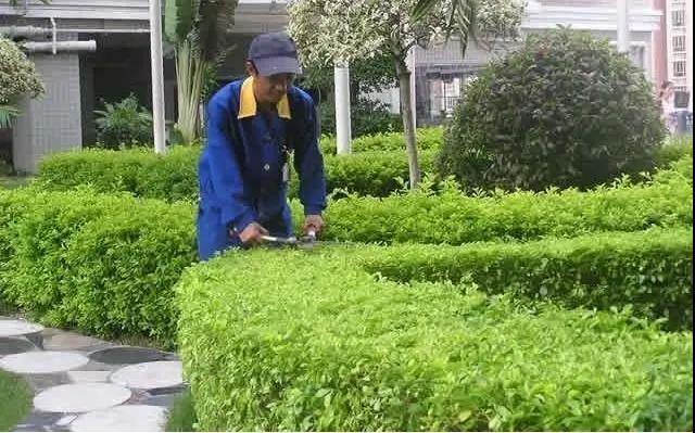 園林綠化工程施工常見(jiàn)誤區(qū)，您中招了嗎?