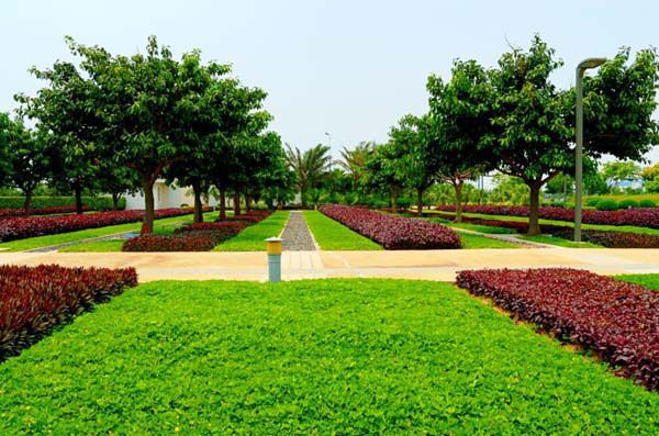 園林綠化常見問題總結，值得收藏