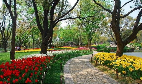 雪后，對受“硬傷”和“軟傷”的苗木 怎么養(yǎng)護