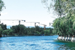 湖北凱蒂園林分享十種超耐寒的開花植物，不怕凍傷！ 