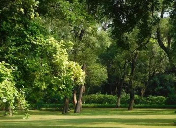 園林綠化養(yǎng)護(hù)那些事兒，你都知道嗎？