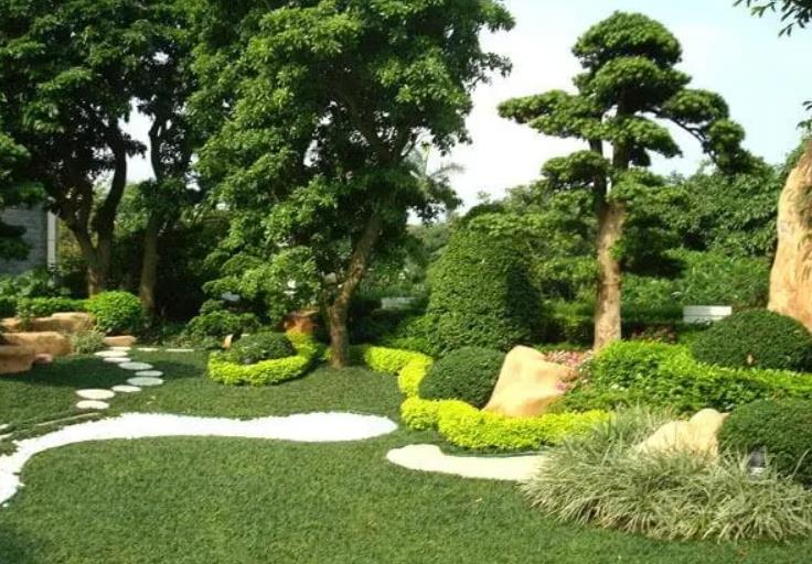 園林景觀設計之植物墻設計在哪些地方適合？